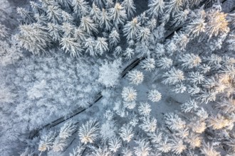 Hankenberge, Hilter am Teutoburger Wald, Lower Saxony, Germany, bird's-eye view of snowy forest,