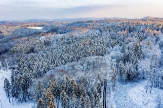 Hankenberge, Hilter am Teutoburg Forest, Lower Saxony, Germany, vast winter landscape with