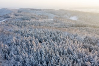 Hankenberge, Hilter am Teutoburger Wald, Lower Saxony, Germany, snowy forest at sunrise, a quiet
