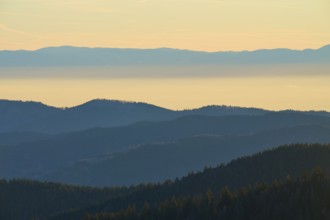 Different altitudes of the mountains in soft morning light, looking towards the Rhine Valley,