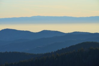 Blue-tinted mountain landscape in morning haze with calm colors, view of the Rhine Valley, Hohneck,