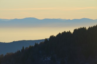Wooded mountain slopes in morning fog with harmonious colors, view of the Rhine Valley, Hohneck, La