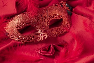 Red mask on red fabric with feathers and bow