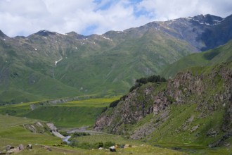 View of a green valley with a river surrounded by rocky and grassy mountains, Terek River, Kazbegi,