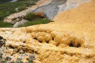 Close-up of an orange rock structure with surrounding vegetation and moss, Bidara travertine, Jvari
