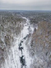 Aerial view, drone photo: Landscape covered by snow with fallen trees on the Briese river in the