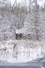 Abandoned wooden hut in snow-covered forest landscape in winter, Briesetal, Barnim nature park