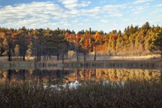 Autumn at the Osterseen, Weilheim-Schongau district, Upper Bavaria, Germany