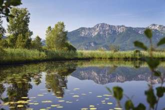 Höllsee with Herzogstand and Heimgarten, moor, pond, Loisach Lake Kochel moss, Upper Bavaria,