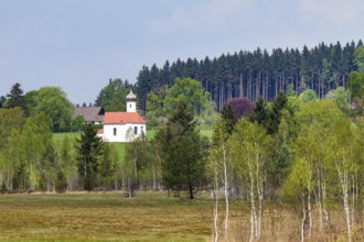 Sankt Johannisrain church with moorland in spring, Penzberg, Upper Bavaria, Germany