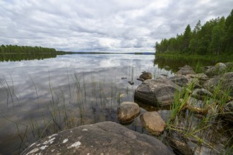 Rocks and reeds on quiet lakeside under a cloudy sky, Lapland, Finland