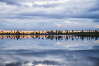 Calm lake reflecting clouds and trees in evening light, near Rovaniemi, Lapplamnd, Finnmark