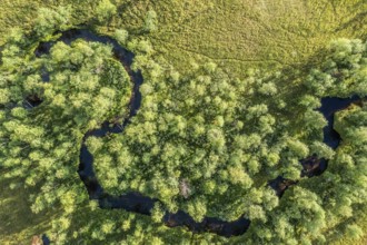 Sodankylä, Lapland, Finland, aerial view of a curvy river surrounded by trees and lush greenery,