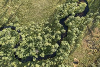 Vuotso, Lapland, Finland, aerial view of a winding river snaking through green land and vegetation,