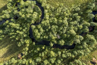 Sodankylä, Lapland, Finland, aerial view of a winding river surrounded by thick, green vegetation