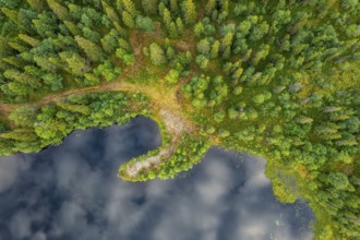 Sodankylä, Lapland, Finland, aerial view of a forest with adjacent lake, aerial view, drone shot