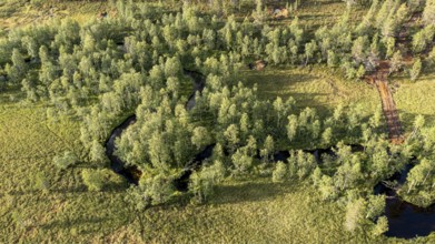 Sodankylä, Lapland, Finland, overview of a curving river surrounded by thick trees, aerial view,
