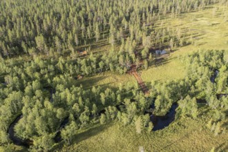 Sodankylä, Lapland, Finland, view from above of a forest with a river and meadows, characterized by