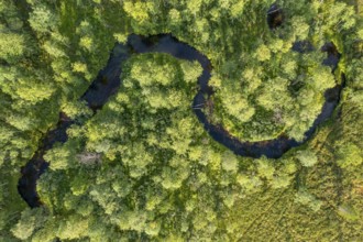 Sodankylä, Lapland, Finland, Curvy river snakes through thick vegetation, seen from the air, aerial