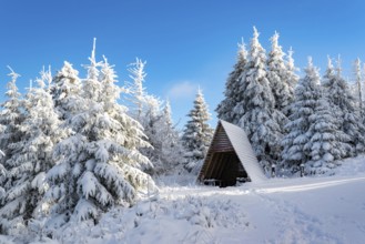 Typical triangular wooden shelter in front of a snow-covered coniferous forest under a clear blue