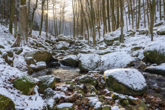 Gumpe with snow and moss-covered rocks in wintery Ilse Valley, Heinrich-Heine-Weg, Harz National