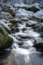 Lower Ilse Falls with snow and moss covered rocks in winter, Heinrich-Heine-Weg, Ilsetal, Harz