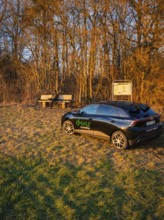 Black car parked on the edge of a forest next to a bench at sunset, MG4 electric car, deer e-car