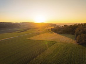Wide landscape with fields and sunset in the background, calm atmosphere, MG4 electric car, Deer
