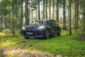 Car in a sun-drenched forest surrounded by trees and green moss, MG4 electric car, Deer