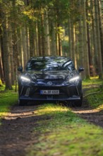 A dark car is parked frontally on a forest path, surrounded by tall trees, MG4 electric car, deer