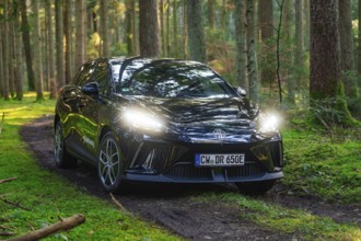 A dark car drives on a forest path surrounded by tall trees and green moss, MG4 electric car, deer