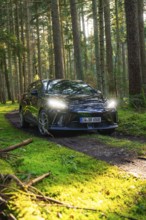 Car parked on a forest path surrounded by tall trees and sunlight on green moss, MG4 electric car,