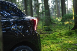 Rear light of a car in a thick forest with incoming sunlight, MG4 electric car, Deer E- Carsharing,