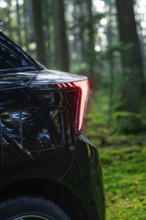 Rear view of a car in a forest clearing with sunbeams, MG4 electric car, Deer e-Carsharing, Calw,