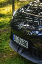 Close-up of a car in a forest clearing in sunlight, MG4 electric car, Deer e-Carsharing, Calw,