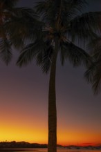Evening sun set at Cairns Esplanade with glowing sky and palms by the bay, Cairns, Queensland,