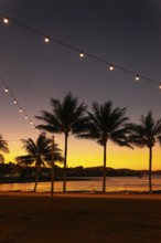 Evening sun set at Cairns Esplanade with glowing sky, palms and light chains by the bay, Cairns,