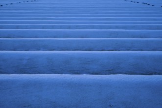 White film prevents purple and green asparagus heads, controls the start of harvest, snow on