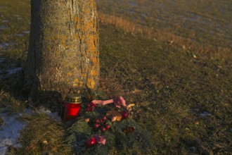 Candle, grave candle and grave decoration on tree grave, tree trunk, main cemetery, evening light,