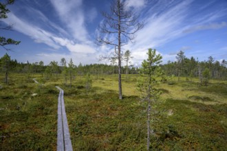 A wooden path snakes through an open moor landscape under dramatic skies, Hamra National Park,