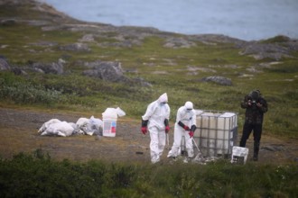 People in protective suits placing dead birds in containers in a coastal landscape, photographer