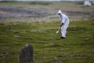 Person in a protective suit, protective mask and goggles picks up a dead kittiwake (Rissa