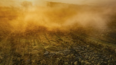 Mystical landscape in fog at sunset in golden light, large moorland along the E6 on the Arctic