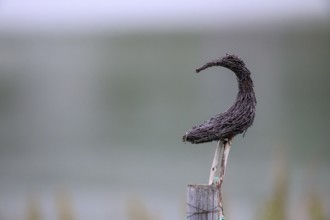 Wooden sculpture of a bird on a pole in a foggy atmosphere, Varangerbotn, Finnmark, Norway
