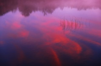 Quiet evening mood at the lake with reeds in the foreground and red sunset, Mondsee, Salzkammergut,