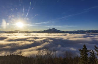 Sunrise, view from Kulmspitze, Schafberg rising out of a sea of fog, inversion weather, Osterhorn