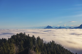 View from Kulmspitze, Traunstein juts out of a sea of fog, inversion weather, Mondseeland