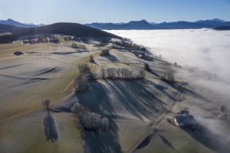 Drone view, agricultural landscape with farm in autumnal morning fog, inversion weather,