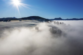 Drone view, agricultural landscape with trees in autumn morning fog at sunrise, inversion weather,