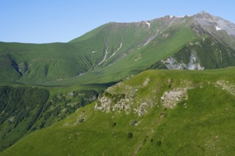 Green mountainside under clear sky, natural peace, landscape between Kvesheti and Gudauri,